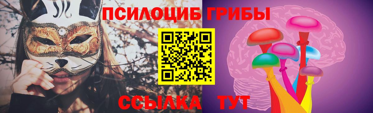 Псилоцибиновые грибы Psilocybe  наркота  Шарыпово  Псилоцибиновые грибы мицелий  Вход с VPN 